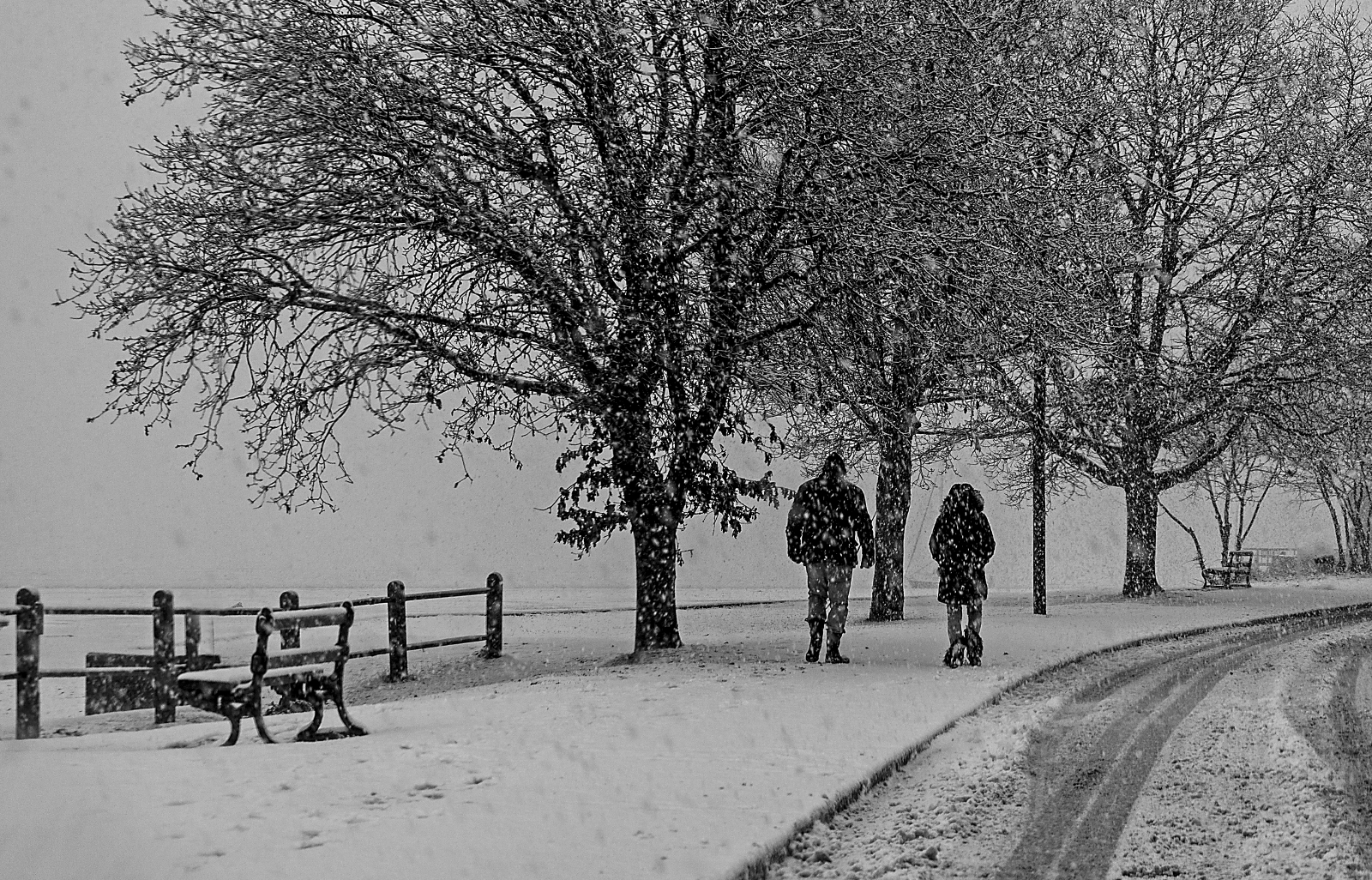 TRACKS IN THE SNOW  - Ian Parker